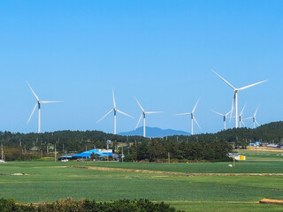 wind turbine in the field