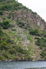 Vineyard located on a hillside of the river Sil in the Ribeira Sacra. Vineyards on a steep slope in the Sil river canyon. Galicia - Spain