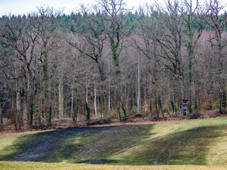 Feuchte wiese nach starken Regenfällen im Winter