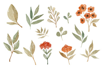 Watercolor floral set. Collection of yellow and orange transparent rose, leaves and branches. Hand painted isolated design elements. Botanical illustration for summer wedding design, greeting cards