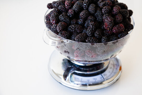 Mulberries for jam making weighed out in kitchen scales