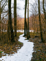 Snowy trail through the forest. End of winter in the forest, melting snow. Nature in early spring. 