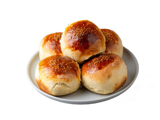 Traditional delicious handmade Turkish pastry cheese pastry (Turkish name; pogaca)