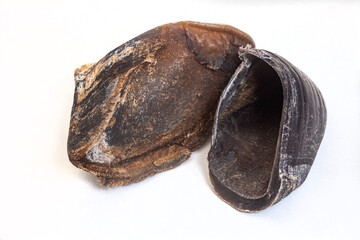 animal hoof chews for dogs on plain white background