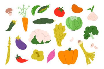 Set of fresh vegetables. Hand drawn style. Natural healthy food icons. Different organic veggies, cabbage, spinach, broccoli, eggplant, cucumber. Flat vector illustration isolated on white background