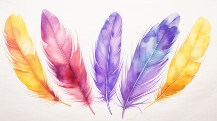 Colorful feathers collection isolated on white background.