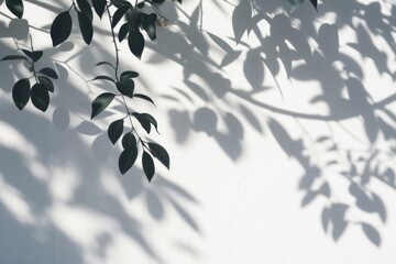 The shadow of palm leaves cast a serene overlay on the wall, creating a plant-inspired texture as light filtered through the window and danced across the surface. - obrazy, fototapety, plakaty
