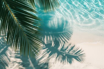 Fototapeta na wymiar The crystal-clear water shimmers under the tropical sun, casting intricate shadows of palm leaves on the white sandy beach, creating a serene and inviting summer vacation backdrop.