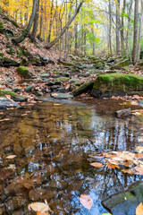 Reflections of Blue Sky and Fall Foliage in a water. Heritage Park. Allentown , NJ