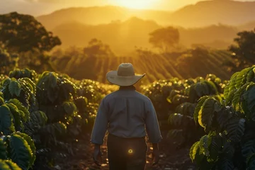 Papier Peint photo Couleur miel A farmer wearing a hat walks through his coffee plantation at sunrise, breathing in the fresh countryside air and admiring the green landscape of rural Mexico.