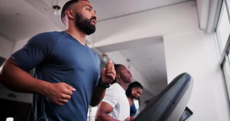 People, workout and running on treadmill in gym for fitness, training and exercise with accountability. Group of active man or women runner on stationary machine for cardio, speed and body endurance