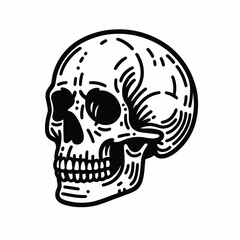 basic line Human skull  vector