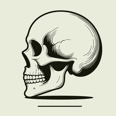 basic line Human skull  vector