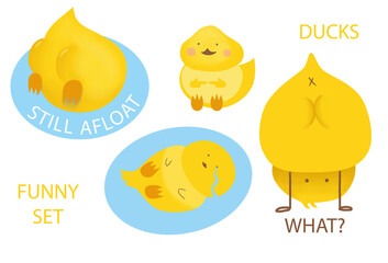 A set of funny yellow ducks on the white backdrop for a logo or corporate identity.