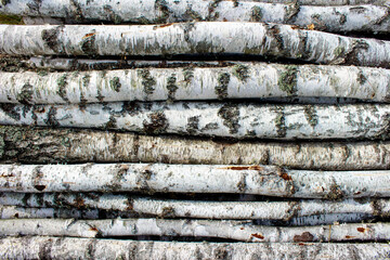 A background of birch logs lying horizontally. Chopped firewood stacked in a pile. Pile of logs for fireplace