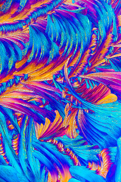 Microscopic view of salicylic acid crystals in a vibrant display of blue and orange feather-like patterns