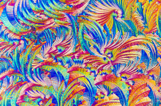 A stunning display of salicylic acid crystal patterns under the microscope, resembling a vibrant botanical scene