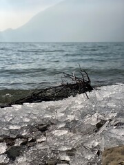 wood and ice on the beach - 728511903