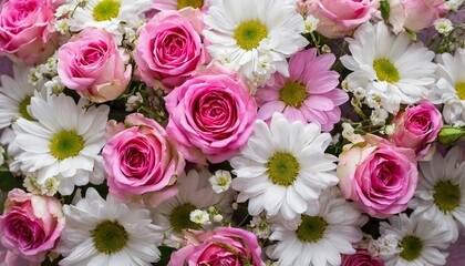 background of pink and white daisies and roses