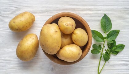 potato vegetable isolated on white background flat lay top view