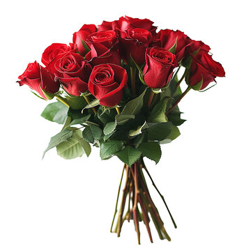 enorme mazzo di rose rosse di san valentino , png su sfondo trasparente 