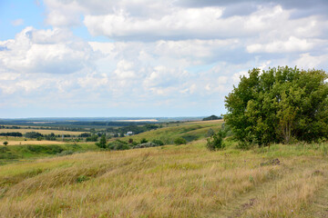 landscape with hills, green tree and cloudy sky copy space