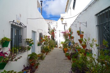narrow alley with many flowers in plant pots on the ground and at the walls in the old town of Vejer de la Frontera, Costa de la Luz, Andalusia, Spain