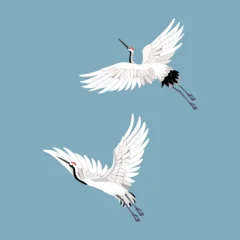 Foto op Plexiglas Two beautiful white cranes in flight on a blue background. © Nadezhda