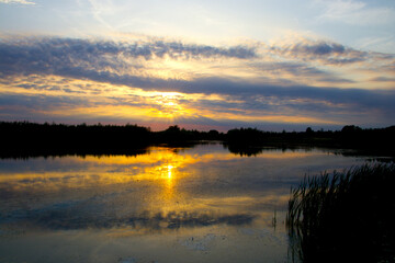 Fototapeta premium Special light at sunset just before dusk at the lake