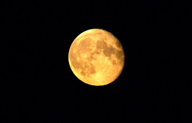 Yellow orange supermoon with its lunar craters on the surface