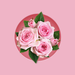 Bouquet of pink rose flowers in a round frame on pink background.