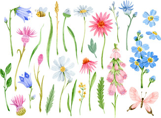 Watercolor colorful wildflowers, leaves, branches and butterfly isolates clipart