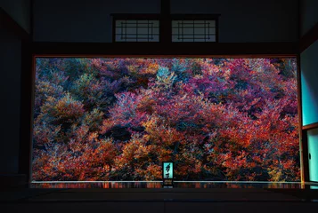 Keuken spatwand met foto 安国寺のドウダンツツジ © TAKU_Creative