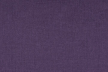 Fototapeta premium Abstract textured background with fine details