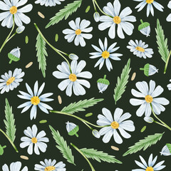 Watercolor chamomile flowers with leaves seamless pattern on dark background