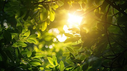 Sunlight through leaves. Generative AI