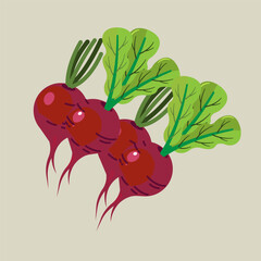 set of vegetable vector design