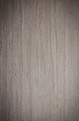 Fototapeta premium Abstract textured background with fine details