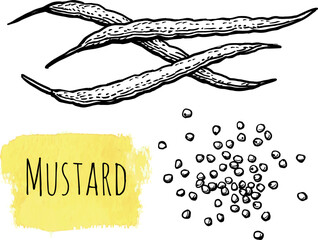 Mustard condiment ink sketch.