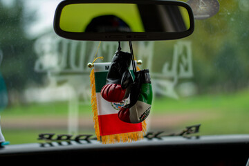Mexican Flag themed boxing gloves
