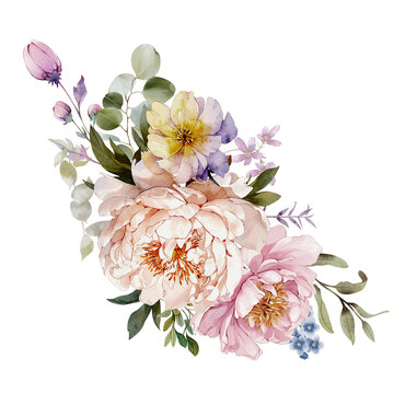 Watercolor floral bouquet . Spring design. Hand painted illustrations isolated on white background. Design for paper, texture, textile, design, logo, label, tag, sale.