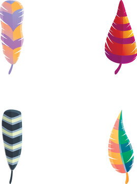 Bird feather icons set cartoon vector. Vibrant multicolored feather. Accessory for decoration