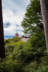 Distant view of the orange temple in Kyoto, Japan, vertical image and century-old tree in the foreground. Ancient and iconic temple, cultural experience on Japanese historical sites.