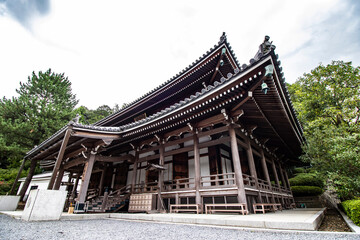 Close-up of a black-and-white temple in Kyoto, Japan, focus effect and mature tree in background, horizontal image. Culture experience in Japan, ancient traditions and historical sites. 