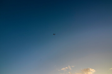 Distant view of a plane in the blue and orange sky of Okinawa, Japan, during a sunset, nobody, horizontal image