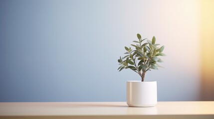 A small plant in a white vase sitting on a table. Suitable for home decor or interior design purposes