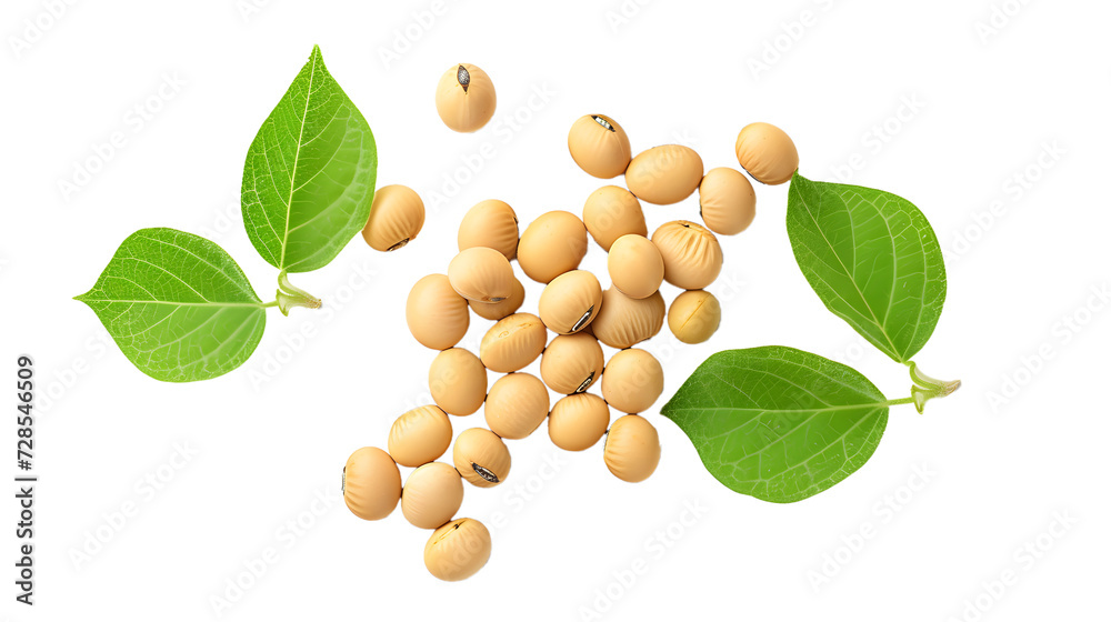 Canvas Prints soybeans with leaves isolated on white background