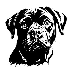 dog, animal, labrador, pet, puppy, isolated, black, cute, canine, retriever, white, brown, breed, portrait, cartoon, illustration, head, mammal, vector, sitting, white background, studio, pedigree, ho