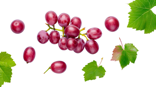  grape with leaves on white background 