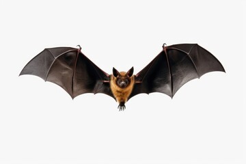 A bat flying through the air with its wings spread. Perfect for Halloween-themed designs or nature illustrations